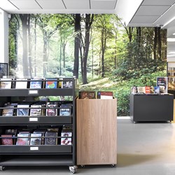 Biophilic projects