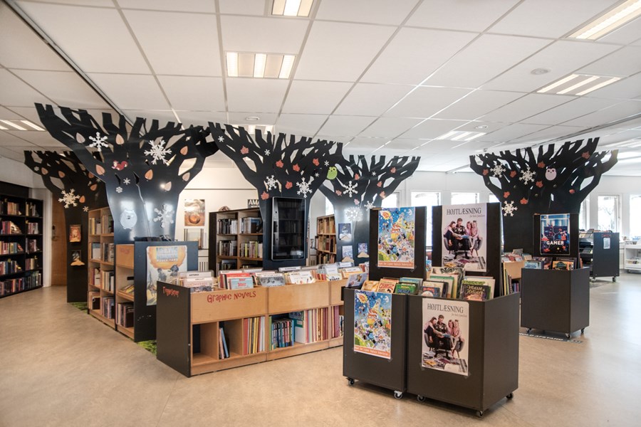 Sanderstedt Library Guldborgsund Public Library, Denmark