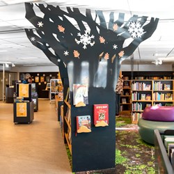 Guldborgsund Public Library, Denmark