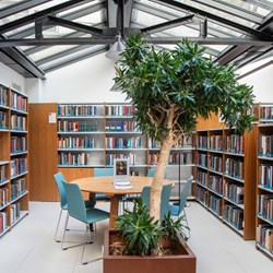 American University of Paris, France