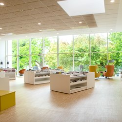 Biophilic library design