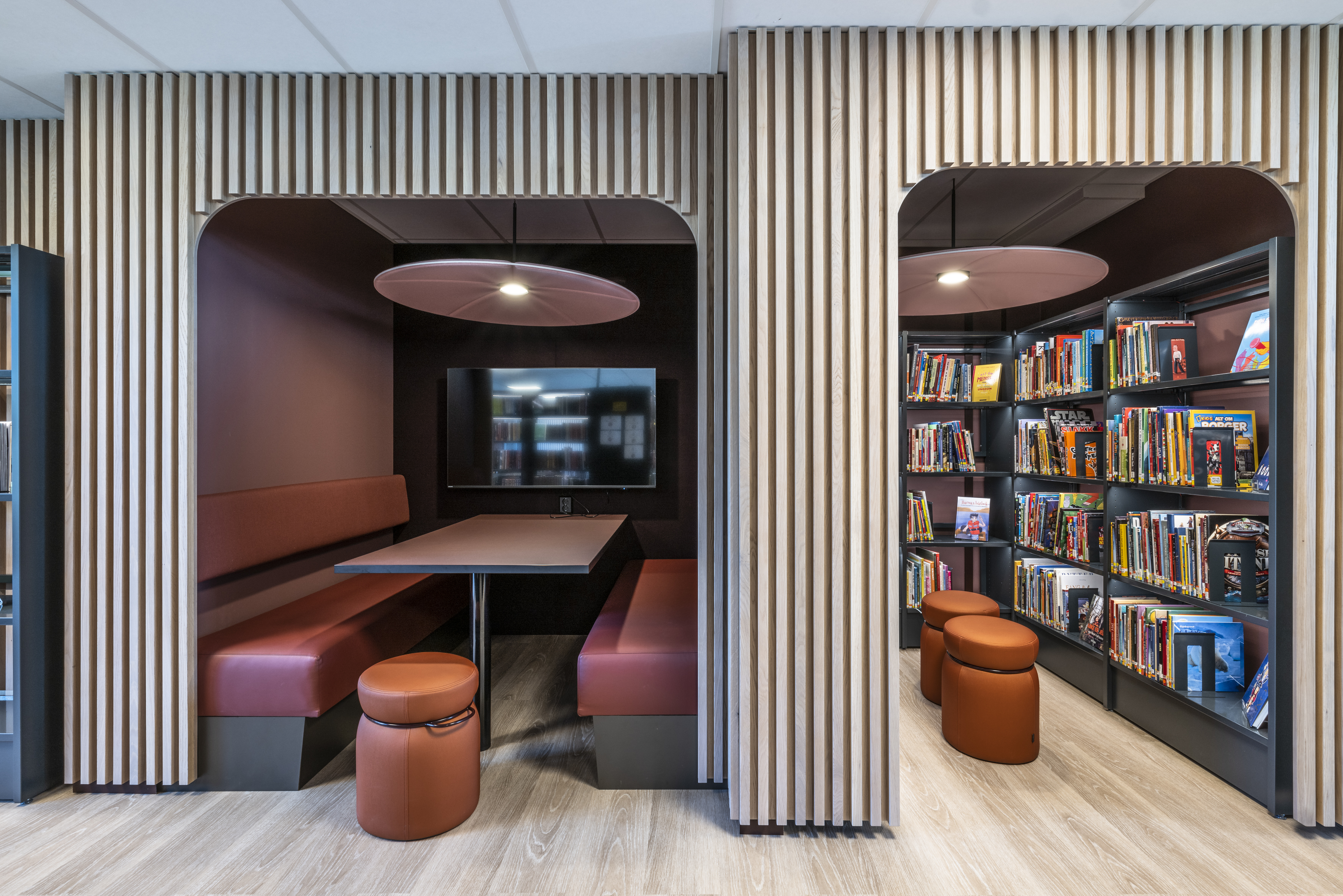 Lily‼️ Short Stemmed Lilies Mixed 14/16cm | J Parker Dutch Bulbs