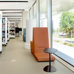 Toulouse Public Library, France