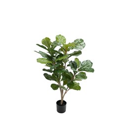 E0100 - Fiddle Leaf Fig Tree Small