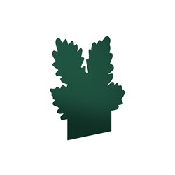 E2605 - Leaf, cluster