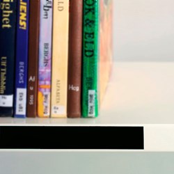E3341 - Magnetic shelf Label